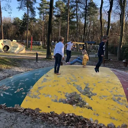 Boshuisje Veluwe בקתה ארמלו