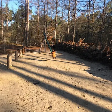 Boshuisje Veluwe